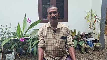 കൗതുകമായി ഭീമൻ ചേന   നൂറ് കിലോയിലധികം വരുന്ന ഭീമൻ ചേനയാണ്  ഇടുക്കിയിലെ കർഷകനായ  സുരേന്ദ്രന്‍ വിളയിച്ചത്