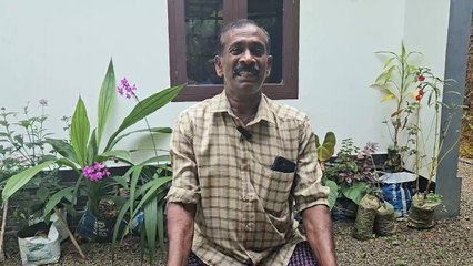 കൗതുകമായി ഭീമൻ ചേന   നൂറ് കിലോയിലധികം വരുന്ന ഭീമൻ ചേനയാണ്  ഇടുക്കിയിലെ കർഷകനായ  സുരേന്ദ്രന്‍ വിളയിച്ചത്