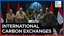 Indonesia launches international carbon exchanges