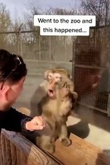 🐒 Monkey's Unexpected Surprise! 😃