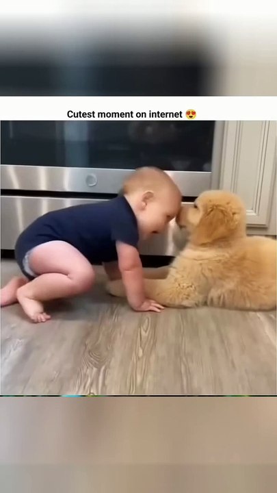 Adorable Pup Moments 🐶😀❤️