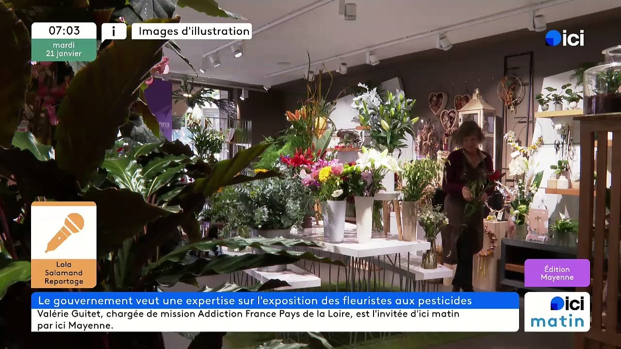 21/01/2025 - ici matin par ici Mayenne en vidéo