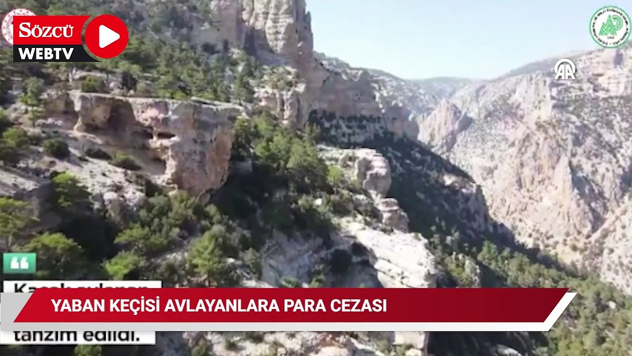 Yaban keçisi avlayan 2 kişiye 673 bin 766 lira ceza kesildi