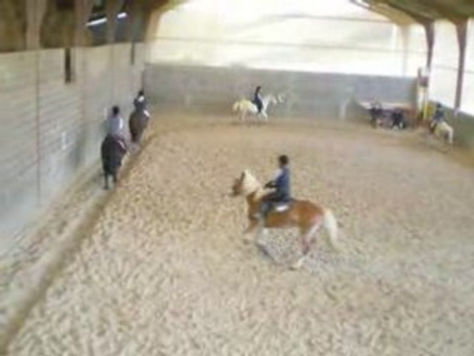 galop chevaux