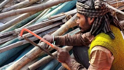 अलीगढ़ में एक ही स्थान पर कीजिए चार धाम के दर्शन, 150 साल पुरानी नुमाइश में आस्था और आधुनिकता का संगम