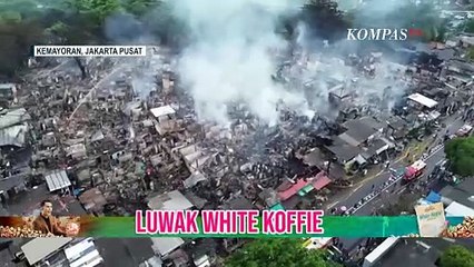 Pantauan Terkini Kebakaran di Kemayoran Hanguskan 543 Rumah, Lebih dari 100 Jiwa Terdampak