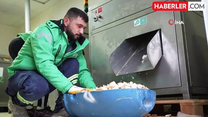 Yemek Atıkları Mamaya Dönüşüyor