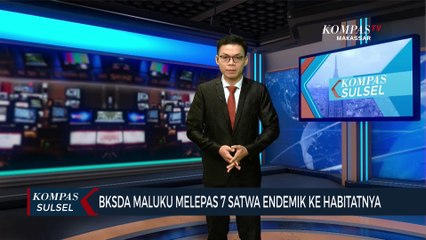 BKSDA Maluku Melepas 7 Satwa Endemik Ke Habitatnya