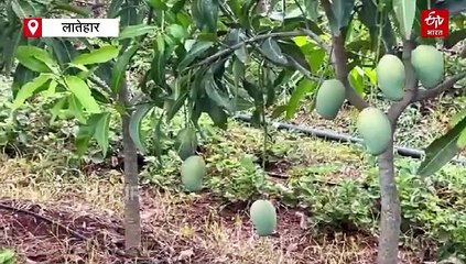 कभी इजरायली विधि खेती का उड़ाते थे मजाक, आज इलाके के किसान हो रहे हैं प्रेरित