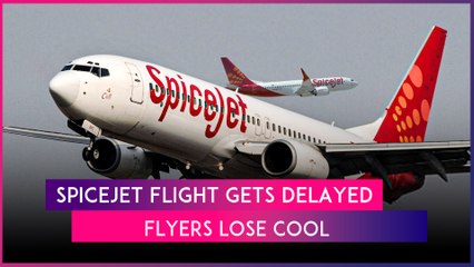 Ishita Chauhan, Vikrant Antil Among SpiceJet Flight Passengers Who Allege Mistreatment By Airline