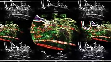 Pe Cararea Muntilor Official Video