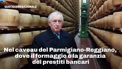 Nel caveau del Parmigiano-Reggiano, dove il formaggio ? la garanzia dei prestiti bancari