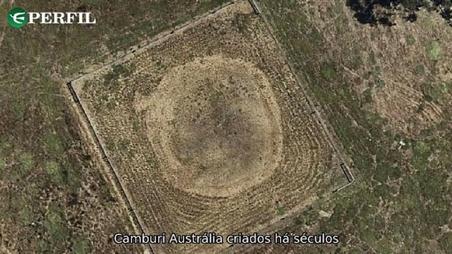 Descobertas chocantes: mistério dos anéis de terra na Austrália, incêndio fatal na Turquia e estudo sobre chimpanzés. Um resumo envolvente das notícias mais impactantes do momento.