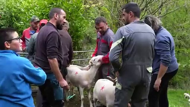 Les Petites Mains en vallée de Barousse Bande-annonce VF
