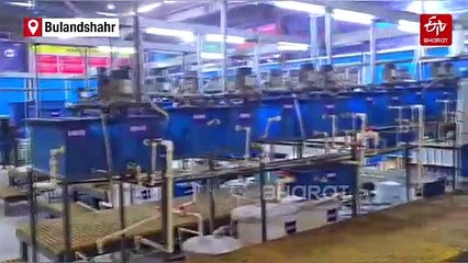 Two People Die Due To Gas Leak In A Company at Uttar Pradesh's Bulandshahr