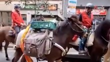 Un hombre pega a su perro en Els Tres Tombs en Barcelona: desata una ola de indignación en Instagram