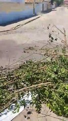 Prefeitura rebate denuncia de lixo em Subaúma, no Litoral Norte