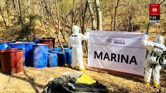 Criminales pierden 83.5 mdp por neutralización de narcolaboratorios en Sinaloa