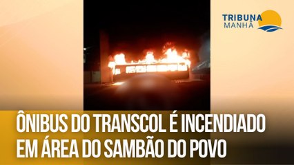 Ônibus do Transcol é incendiado em área do Sambão do Povo