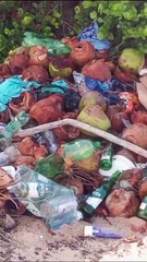 Moradores denunciam coleta de lixo em destino turístico no Litoral Norte