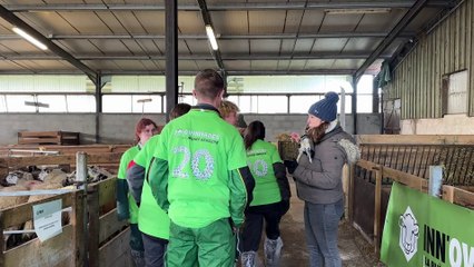 Vingtième édition des Ovinpiades