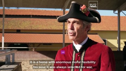 Portugal's 18th-century dancing horse tradition gallops into UNESCO’s heritage spotlight