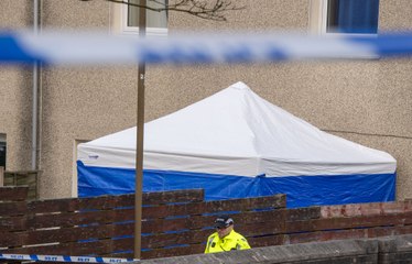 Bodies of man and six-year-old girl found in house