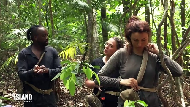 The Island : les remarques de Julien Cohen agacent Daniela Capone