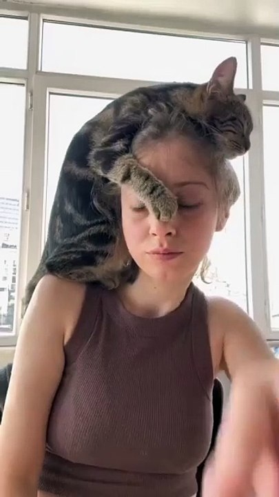 🌍🐾 Welcome to CatsOfTheWorld! Get ready to embark on a thrilling global a