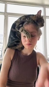 🌍🐾 Welcome to CatsOfTheWorld! Get ready to embark on a thrilling global a