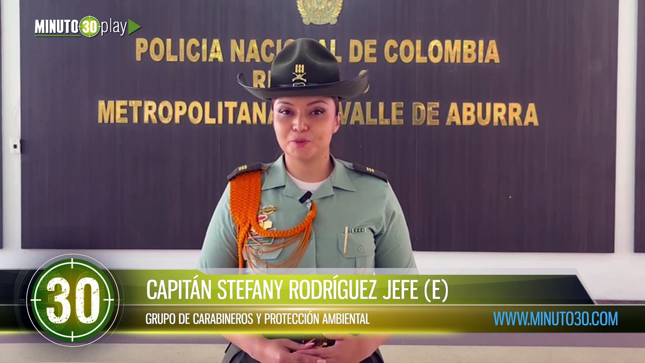 Confirman que dos perritas rescatadas en Villa Hermosa no fueron víctimas de abuso sexual