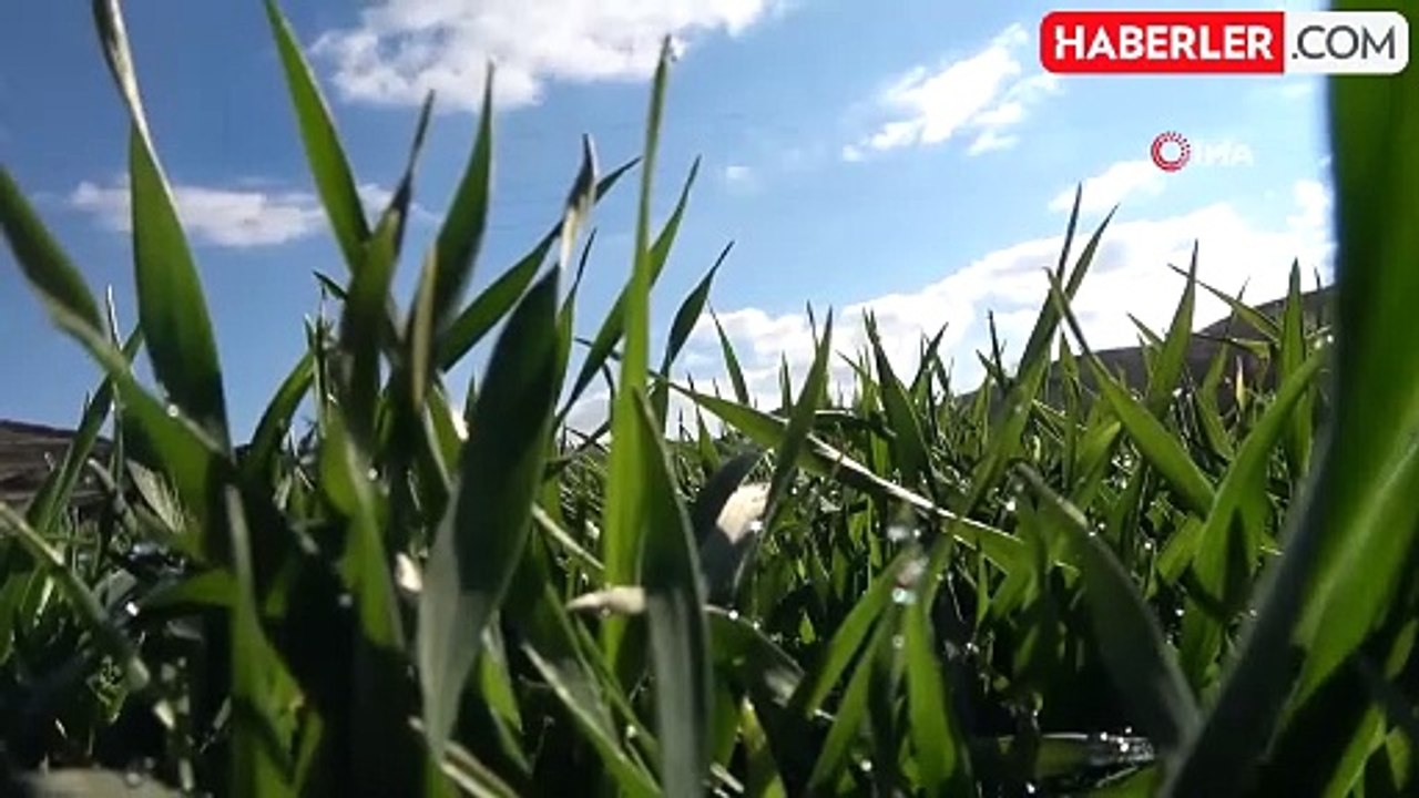 Yozgat'ta Çiftçilerin Küresel Isınma Endişesi: Kuraklık Gelecek mi?