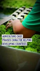 Agriculture chief praises China for helping developing countries