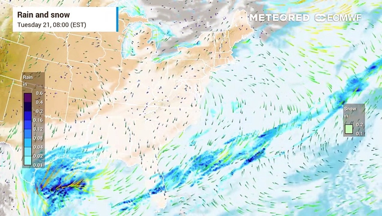 forecast