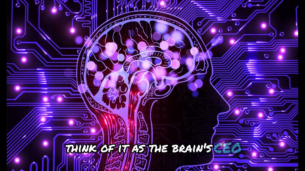 Inside the Mind of a Psychopath: Brain Differences Explained!