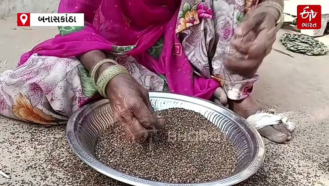 આઝાદીના 75 વર્ષે પણ ગુજરાતનું આ ગામ અંધારામાં, બાજુમાં સોલર પ્લાન્ટ પણ ઘરો વીજળી વગરના