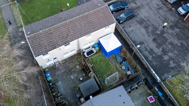 Police investigating the deaths of six-year-old girl and 36-year-old man