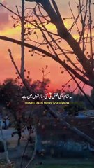 Wonderful sight#poetry time#new video