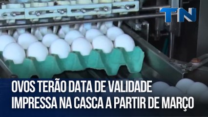 Ovos terão data de validade impressa na casca a partir de março