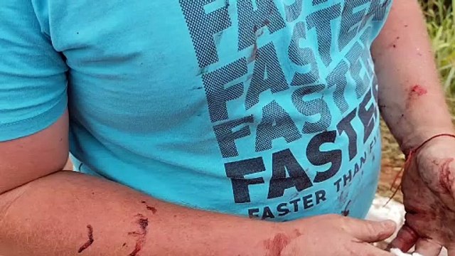 Motorista afirma que, para não prensar carro entre caminhões, jogou carreta para o mato e tombou