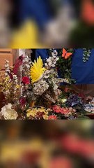 Ein Herzensgruß 🌷✨ – Eine Feier des Lebens 🕯️