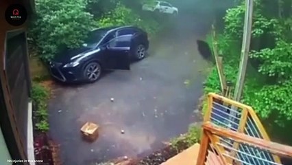 75 Most Incredible Moments Ever Caught on Camera