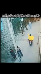 This cat is actually a jinn