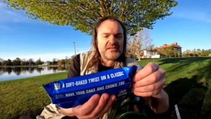 USA Nabisco Oreo Cakesters Review