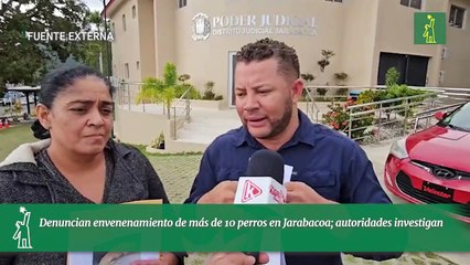 Denuncian envenenamiento de más de 10 perros en Jarabacoa; autoridades investigan