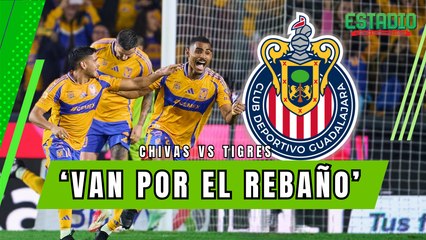 ENTRENAMIENTO FELINO con la mira en Guadalajara | Estadio Deportes