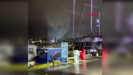 Bodrum’da ortaya çıktı! Endişelendiren olay