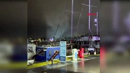 Bodrum’da ortaya çıktı! Endişelendiren olay