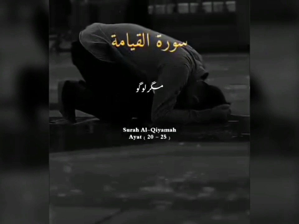 اللہ تعالٰی کا ارشاد مبارک قرآن مجید میں