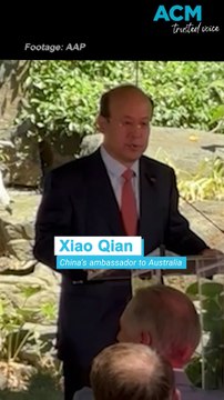 Giant pandas debut at Adelaide Zoo